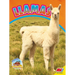 Llamas