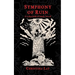 Symphony of Ruin: A Labyrinth of Souls Novel
