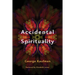 Accidental Spirituality