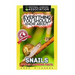 Everything You Should Know About: Snails Faster Learning Facts