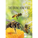 The Drone Honey Bee