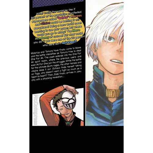 My Hero Academia, Vol. 30: Dabi's Dance