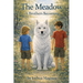The Meadow: A Brother's Becoming