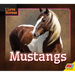 Mustangs