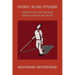 Funny Blind Stories: Perceiving the Humor While Losing My Sight