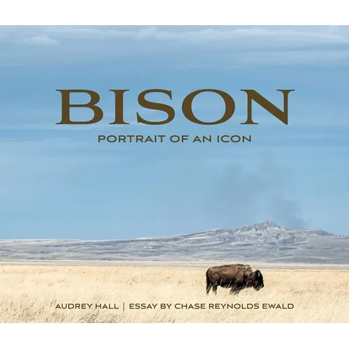 Bison: Portrait of an Icon