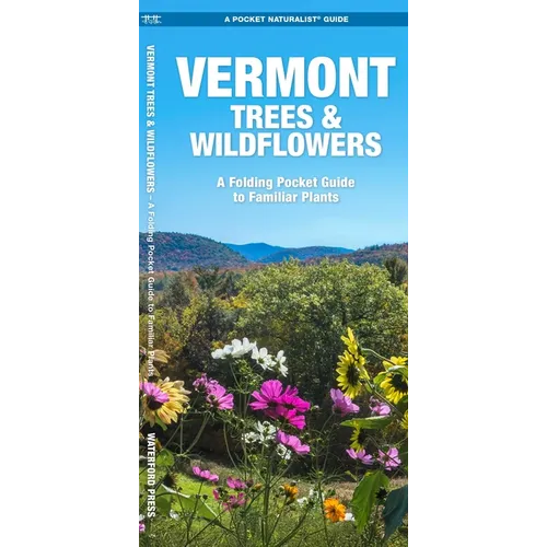 Vermont Trees & Wildflowers: A Folding Pocket Guide to Familiar Plants