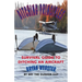 Ditching Principles: Survival Guide to Ditching an Aircraft
