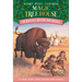 Buffalo Before Breakfast