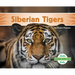 Siberian Tigers