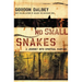 No Small Snakes: A Journey Into Spiritual Warfare