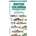 British Columbia Freshwater Fishes, 2nd Ed: A Folding Pocket Guide to Native and Introduced Species