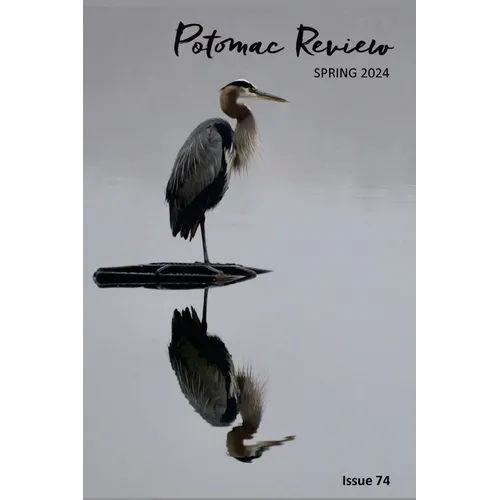 Potomac Review Issue 74