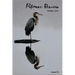 Potomac Review Issue 74