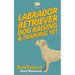 Labrador Retriever Dog Raising & Training 101