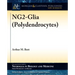 NG2-Glia (Polydendrocytes)