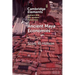 Ancient Maya Economies