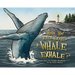 Have You Ever Heard a Whale Exhale?
