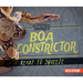 Boa Constrictor: Ready to Squeeze