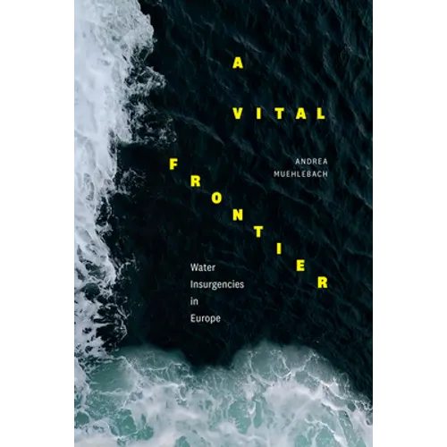 A Vital Frontier: Water Insurgencies in Europe