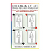 The Deck of Life: Playing the Cards You're Dealt