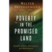 Poverty in the Promised Land: Neighborliness, Resistance, and Restoration