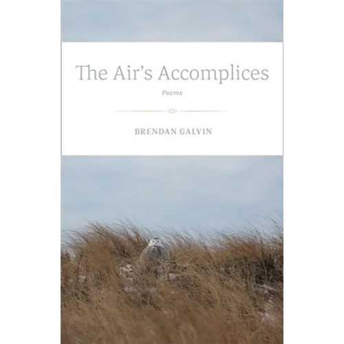 The Air's Accomplices: Poems