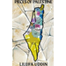 Pieces of Palestine: a collection of poems