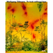 Wolfgang Tillmans: To Look Without Fear