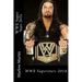 WWE Super Stars 2016