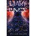 The Diary Of A Lunatic