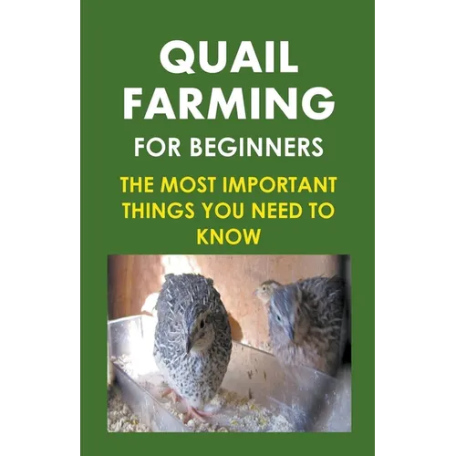 Quail Farming For Beginners: The Most Important Things You Need To Know