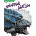 Snapping Turtles