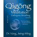 Qigong Meditation Embryonic Breathing 2nd. Ed.: The Foundation of Internal Elixir Cultivation