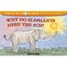 Why Do Elephants Need the Sun?