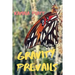 Gravity Prevails
