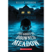 The Ghost of Drowned Meadow