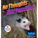 No Thoughts Just Possums: 90 Hilarious Memes