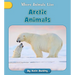 Arctic Animals