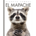 El Mapache