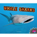Whale Sharks