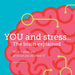 YOU and stress... The brain explained