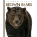 Brown Bears