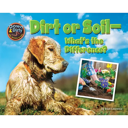 Dirt or Soil: What's the Difference?
