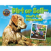 Dirt or Soil: What's the Difference?