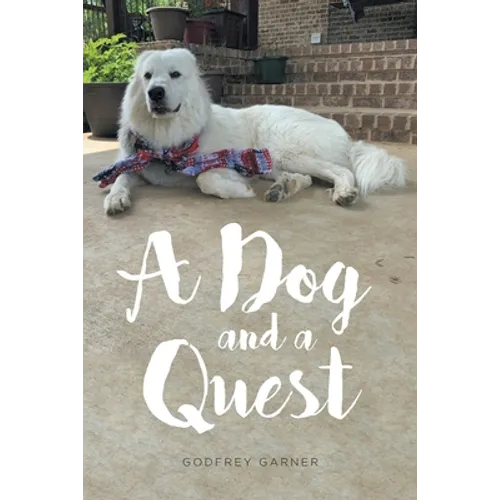 A Dog and a Quest