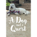 A Dog and a Quest