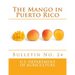 The Mango in Puerto Rico: Bulletin No. 24