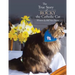 The True Story of Rocky the Catholic Cat