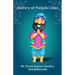 History of Punjab Color